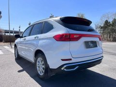 Haval M6 PLUS 1.5T DCT Elite Smart Connected Edition - ფოტო 7