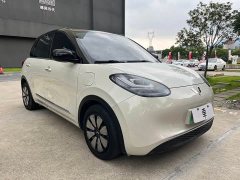 Wuling Binguo 333km Lingxi Connected Edition - ფოტო 3
