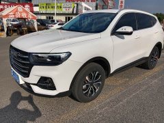 Haval H6 2021 National Trend Edition 1.5T Automatic Urban Version - ფოტო 1