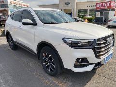 Haval H6 2021 National Trend Edition 1.5T Automatic Urban Version - ფოტო 3