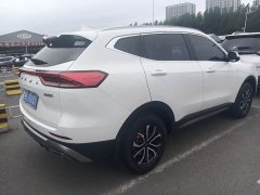 Haval H6 2021 National Trend Edition 1.5T Automatic Urban Version - ფოტო 5