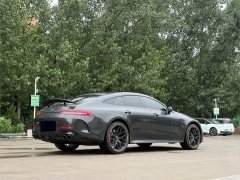 Mercedes-Benz AMG GT AMG GT 50 Four-Door Coupe China Special Edition - ფოტო 14