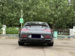 Mercedes-Benz AMG GT AMG GT 50 Four-Door Coupe China Special Edition - ფოტო 15
