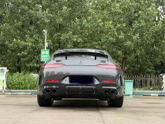 Mercedes-Benz AMG GT AMG GT 50 Four-Door Coupe China Special Edition - ფოტო 18