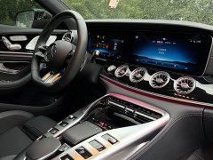 Mercedes-Benz AMG GT AMG GT 50 Four-Door Coupe China Special Edition - ფოტო 9