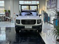 Great Wall Dachshund 1.5T DCT Two-Wheel Drive Labrador Edition - ფოტო 2