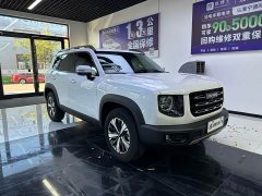 Great Wall Dachshund 1.5T DCT Two-Wheel Drive Labrador Edition - ფოტო 3