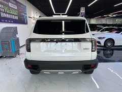 Great Wall Dachshund 1.5T DCT Two-Wheel Drive Labrador Edition - ფოტო 8
