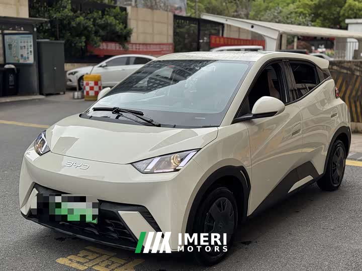 BYD Seagull Glory Edition 305km Vitality Version - ავტომობილი ჩინეთიდან