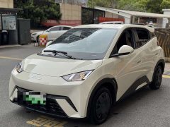BYD Seagull Glory Edition 305km Vitality Version - ფოტო 1