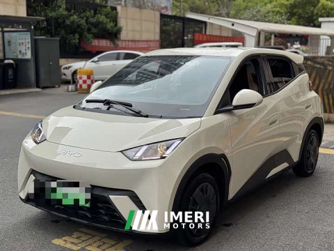 2024 BYD Seagull Glory Edition 305km Vitality Version - ავტომობილი ჩინეთიდან