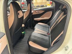 BYD Seagull Glory Edition 305km Vitality Version - ფოტო 11