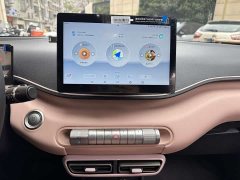 BYD Seagull Glory Edition 305km Vitality Version - ფოტო 12