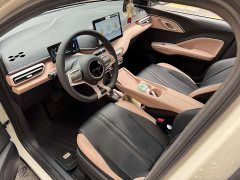 BYD Seagull Glory Edition 305km Vitality Version - ფოტო 13