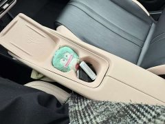 BYD Seagull Glory Edition 305km Vitality Version - ფოტო 18