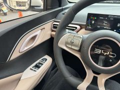 BYD Seagull Glory Edition 305km Vitality Version - ფოტო 19