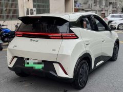 BYD Seagull Glory Edition 305km Vitality Version - ფოტო 2