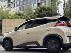 BYD Seagull Glory Edition 305km Vitality Version - ფოტო 20
