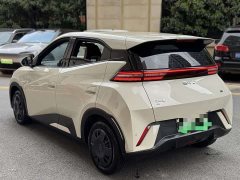 BYD Seagull Glory Edition 305km Vitality Version - ფოტო 3