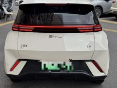 BYD Seagull Glory Edition 305km Vitality Version - ფოტო 4