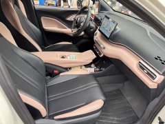 BYD Seagull Glory Edition 305km Vitality Version - ფოტო 8