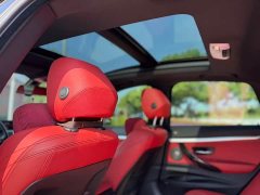 BMW 3 Series GT 2020 330i M Sport Night Edition - ფოტო 7