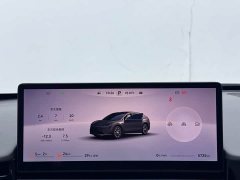 Luxeed Zhiji R7 Extended Range 251km Max - ფოტო 11