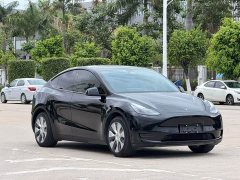 Tesla Model Y Rear-Wheel Drive - ფოტო 2