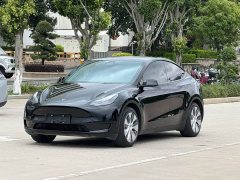 Tesla Model Y Rear-Wheel Drive - ფოტო 3
