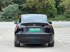 Tesla Model Y Rear-Wheel Drive - ფოტო 8