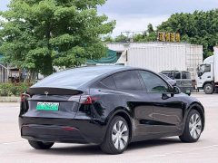 Tesla Model Y Rear-Wheel Drive - ფოტო 9
