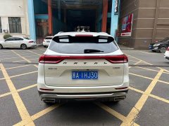 Haval H6 2021 National Trend Edition 1.5T Automatic Urban Version - ფოტო 14