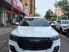 Haval H6 National Trend Edition 1.5T Automatic Urban Version - ფოტო 2