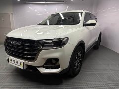 Haval H6 National Trend Edition 1.5T Automatic Urban Version - ფოტო 1