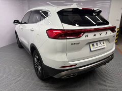 Haval H6 National Trend Edition 1.5T Automatic Urban Version - ფოტო 16