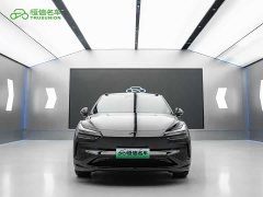 Nio Lerado L60 2024 60kWh Rear-Wheel Drive - ფოტო 2