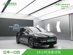 Nio Lerado L60 2024 60kWh Rear-Wheel Drive - ფოტო 3
