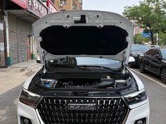 Haval H6 National Trend Edition 1.5T Automatic Urban Version - ფოტო 15