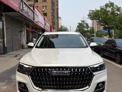 Haval H6 National Trend Edition 1.5T Automatic Urban Version - ფოტო 2