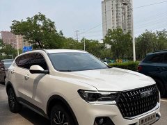 Haval H6 National Trend Edition 1.5T Automatic Urban Version - ფოტო 3