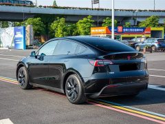 Tesla Model Y Rear-Wheel Drive - ფოტო 6