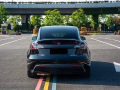 Tesla Model Y Rear-Wheel Drive - ფოტო 7