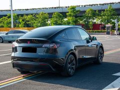 Tesla Model Y Rear-Wheel Drive - ფოტო 8