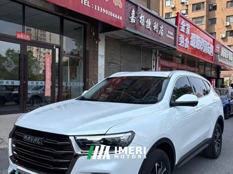 2023 Haval H6 2021 National Trend Edition 1.5T Automatic Urban Version - ავტომობილი ჩინეთიდან