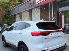 Haval H6 2021 National Trend Edition 1.5T Automatic Urban Version - ფოტო 6