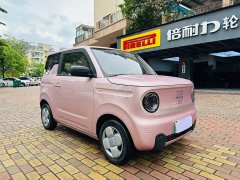 Geely Panda Mini 200km Endurance Edition - ფოტო 1