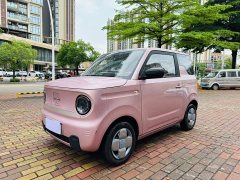 Geely Panda Mini 200km Endurance Edition - ფოტო 3