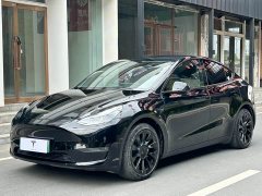 Tesla Model Y Standard Range RWD - ფოტო 1
