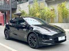 Tesla Model Y Standard Range RWD - ფოტო 3