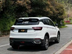 Geely Bingyue 1.4T Manual Golden Edition - ფოტო 6